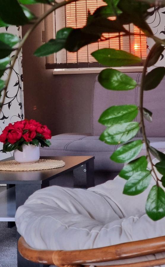 Sveciu Namai Kamile Villa Šiauliai Buitenkant foto